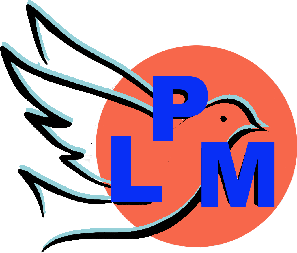 PLM AMEN 3 FOIS MINISTRIES